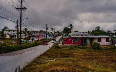 Top 20 Unique Business Ideas for Rural Areas in Zambia (2025 Guide)