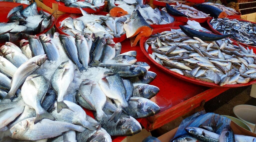 fish, market, farmers local market, fishing, fish market, selling, nature, fisherman, food